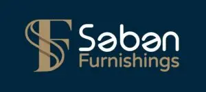 seban-logo - best digital marketing agency in thalassery&kannur